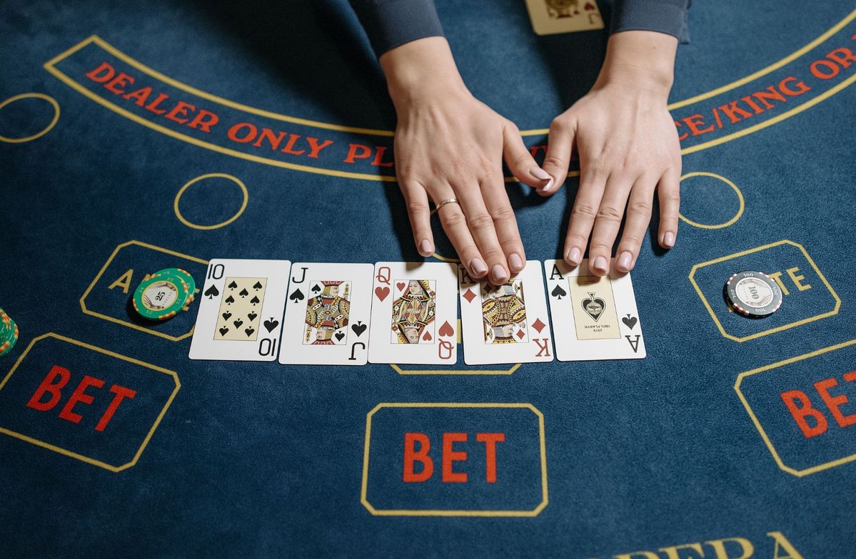 KingBet Live Betting